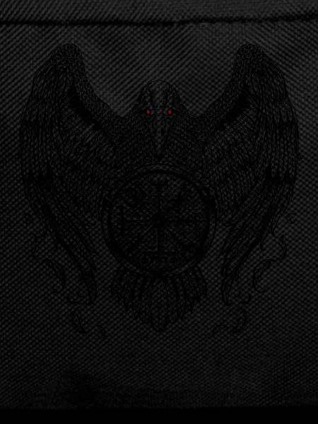 Crow with Futhark and Vegvisir