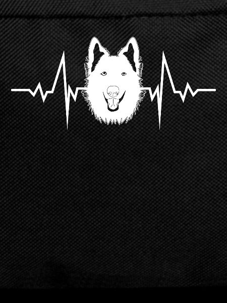 Shepherds ECG White Shepherd