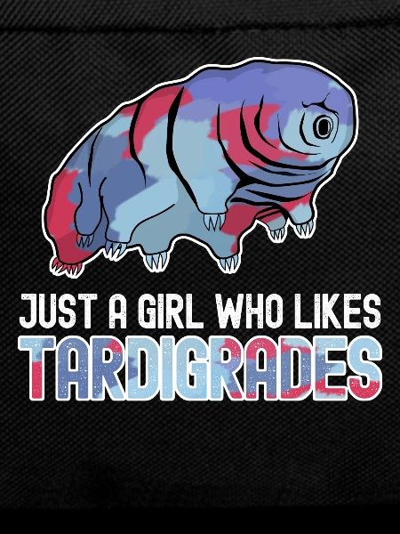 Tardigrade Tardigrades Water Bear