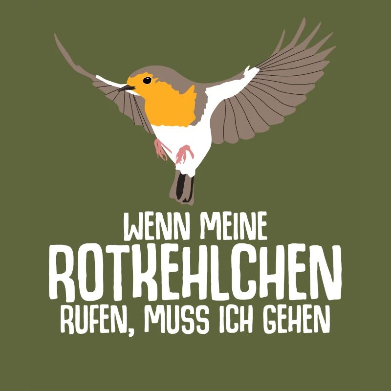 Rotkehlchen Vogel
