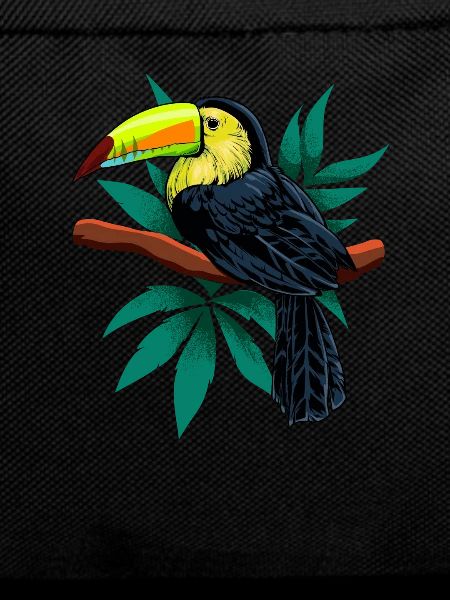 Paradievogel - Drawing of a toucan