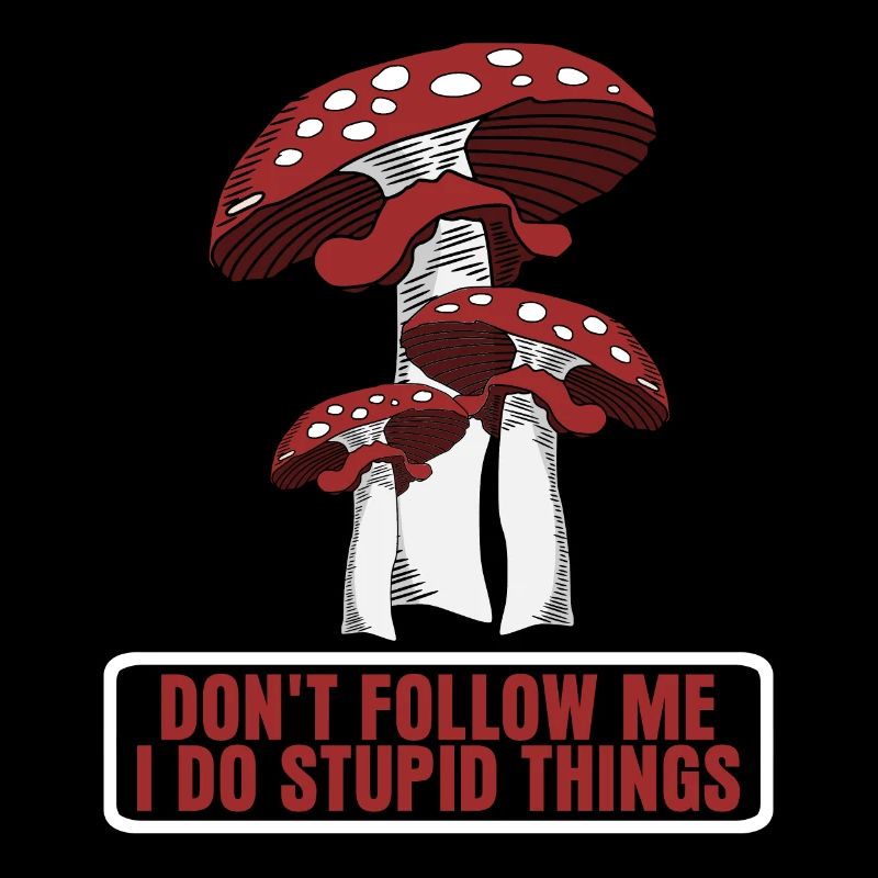 Fly agaric Fly agaric Mushroom Pickers