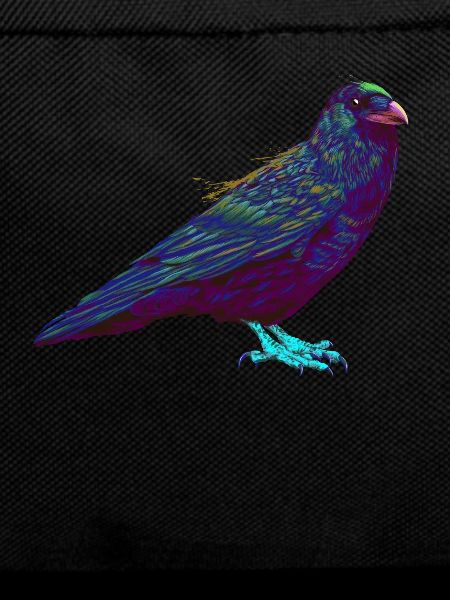 Splash Raven Bird Crow