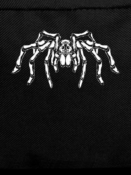 Spider lovers - big spider