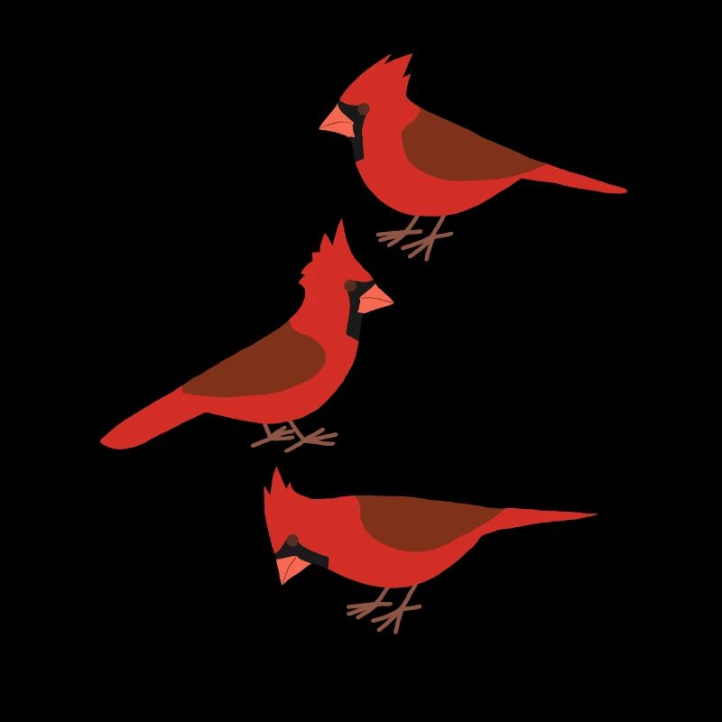 Funny Birds Northern Cardinal