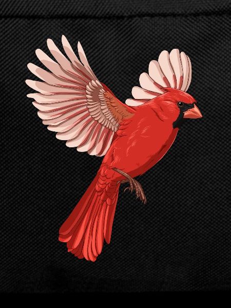 Flying Bird Northern Cardinal