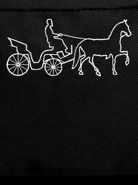 Coachman Calèche