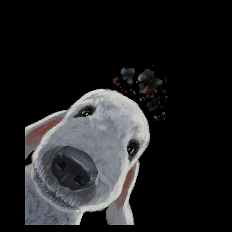 Lustiger Neugieriger Hund Bedlington Terrier