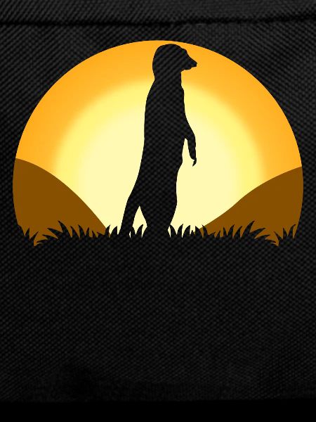 Meerkat Sunset Meerkats