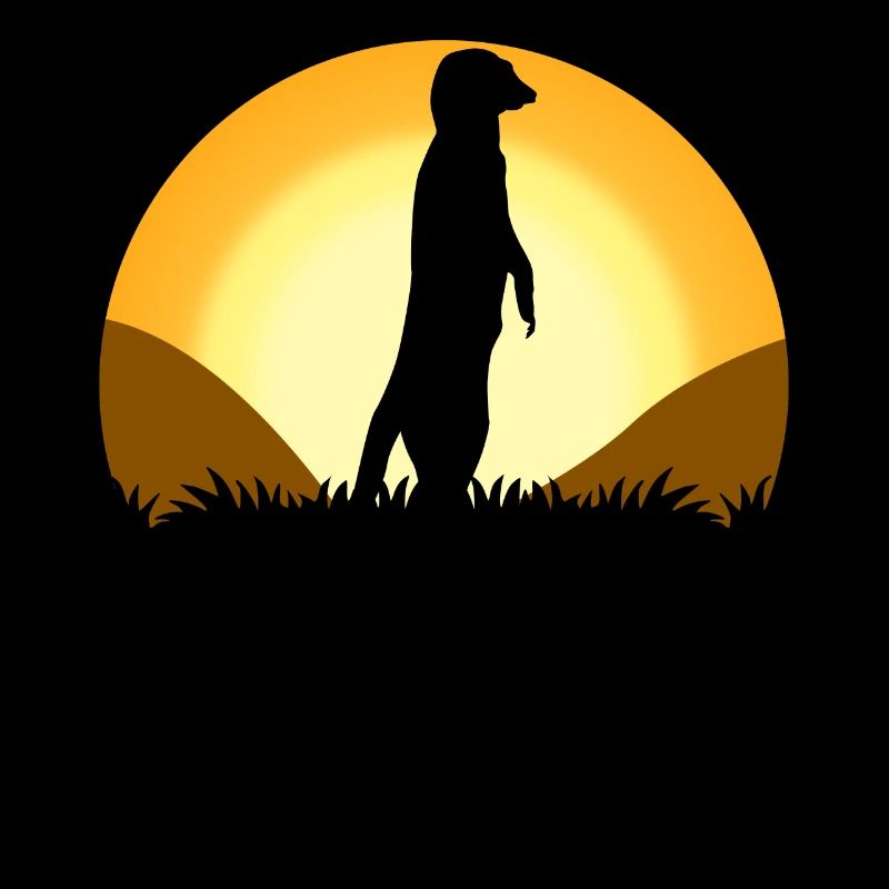 Suricates Sunset Meerkats