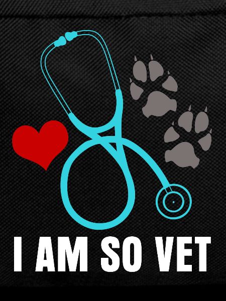 Veterinarian Witz Veterinary Veterinary Practice