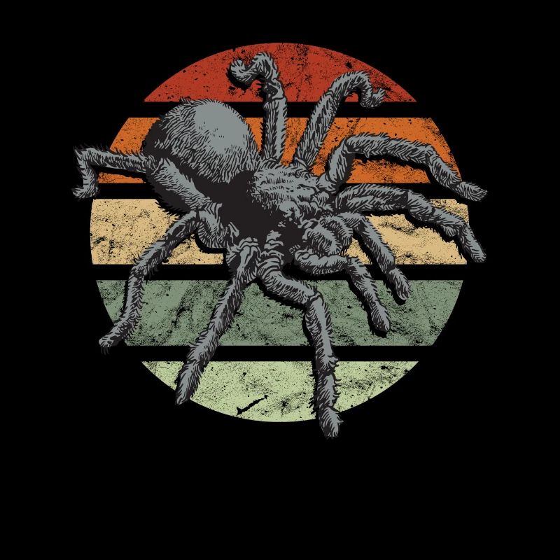 Spiders and tarantulas Tarantula