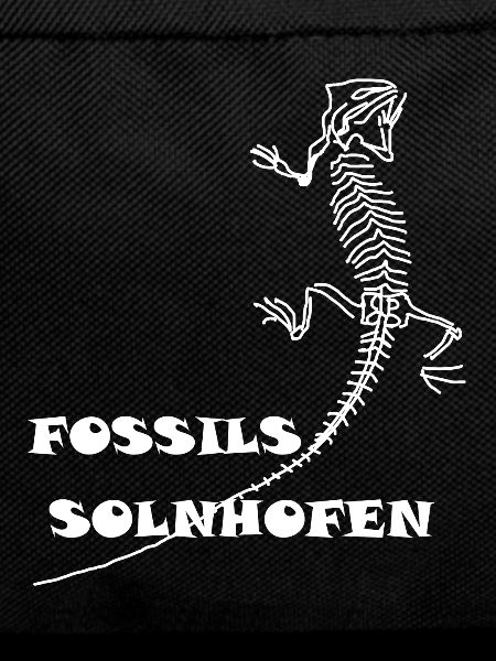 Dinosaurs, fossils, paleontologist,