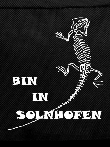 Dinosaurs, fossils, paleontologist,