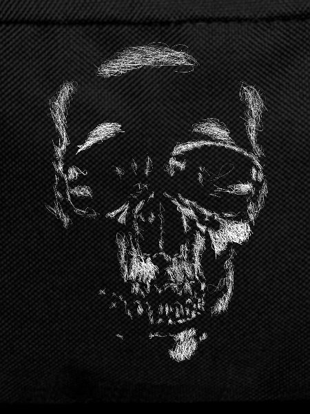 Skull