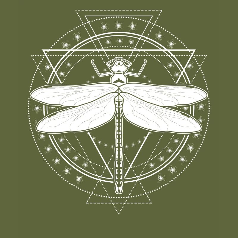 Libellule Occulte Libellules