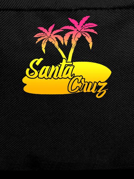 Santa Cruz Surfing Surfboard