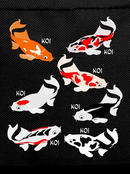 Carpe Koi Koi