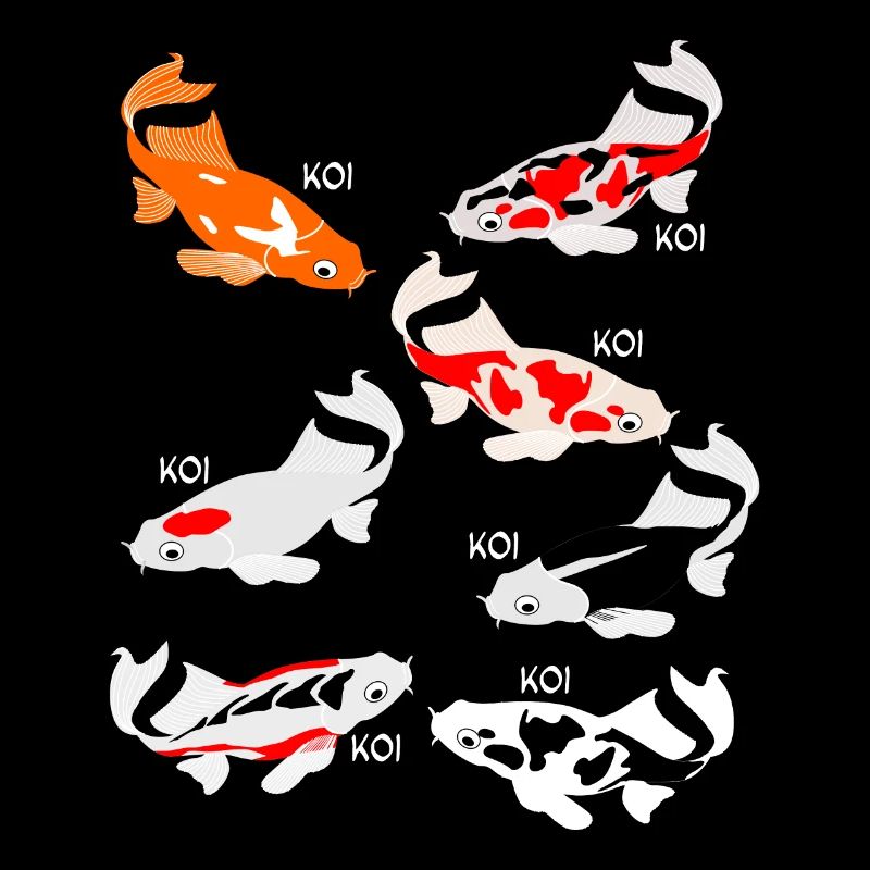 Koi Carp Koi