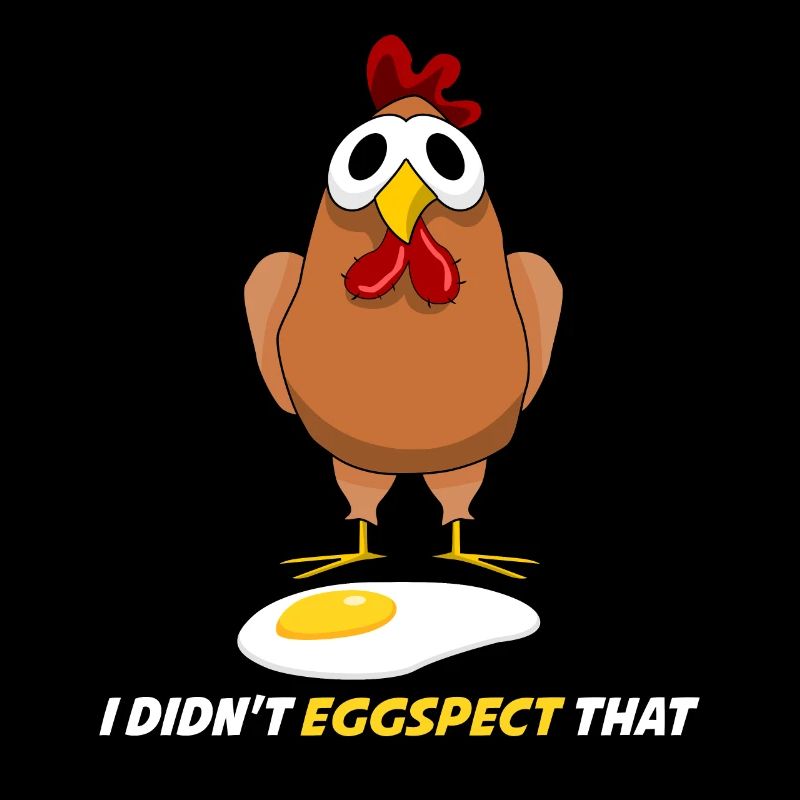 Chicken Eggs Chicken Egg Chickens