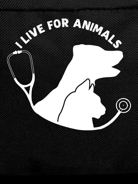 Veterinary Medicine Veterinarian