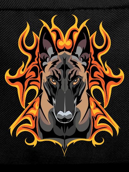 flash malinois