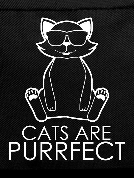 Funny Cat Joke
