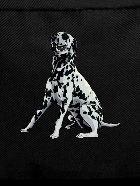 Dog Drawing - Dalmatian