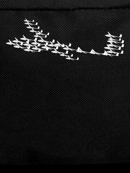 Glider Airplanes Glider
