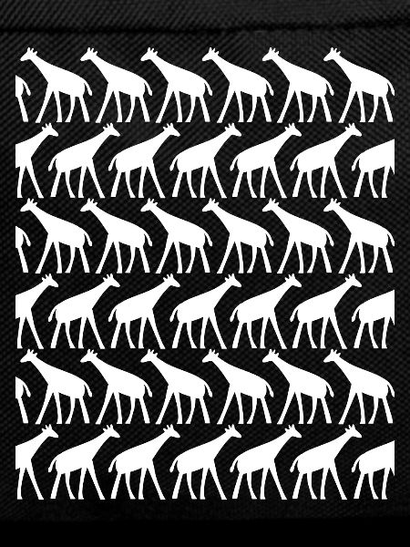 Giraffe many giraffes