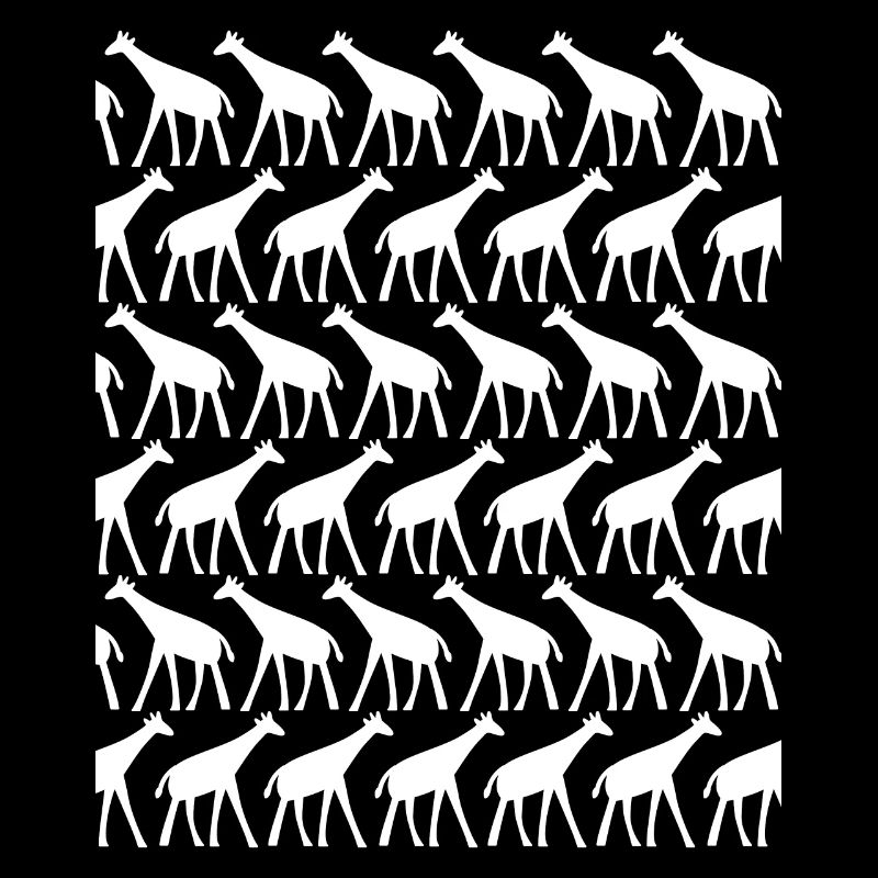 Giraffe many giraffes