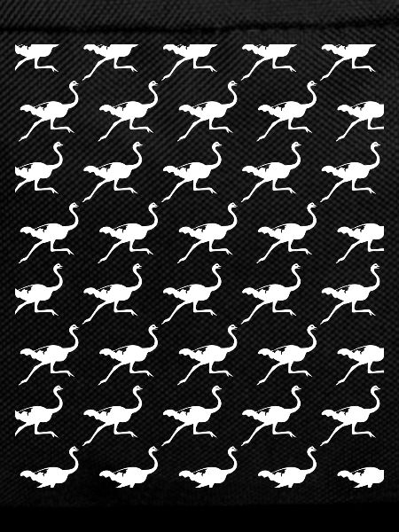Running Ostrich