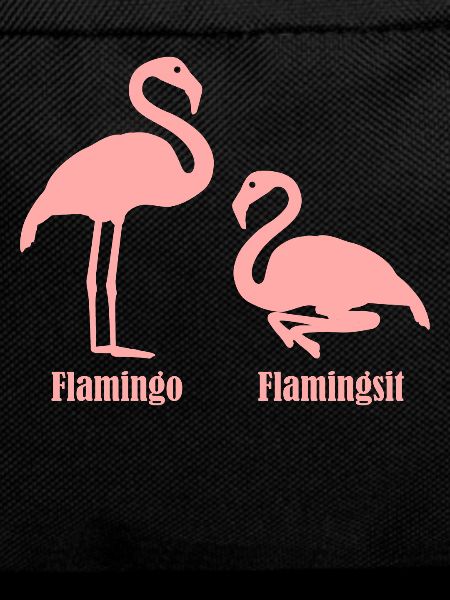 Flamingo Flamingsite Flamingos