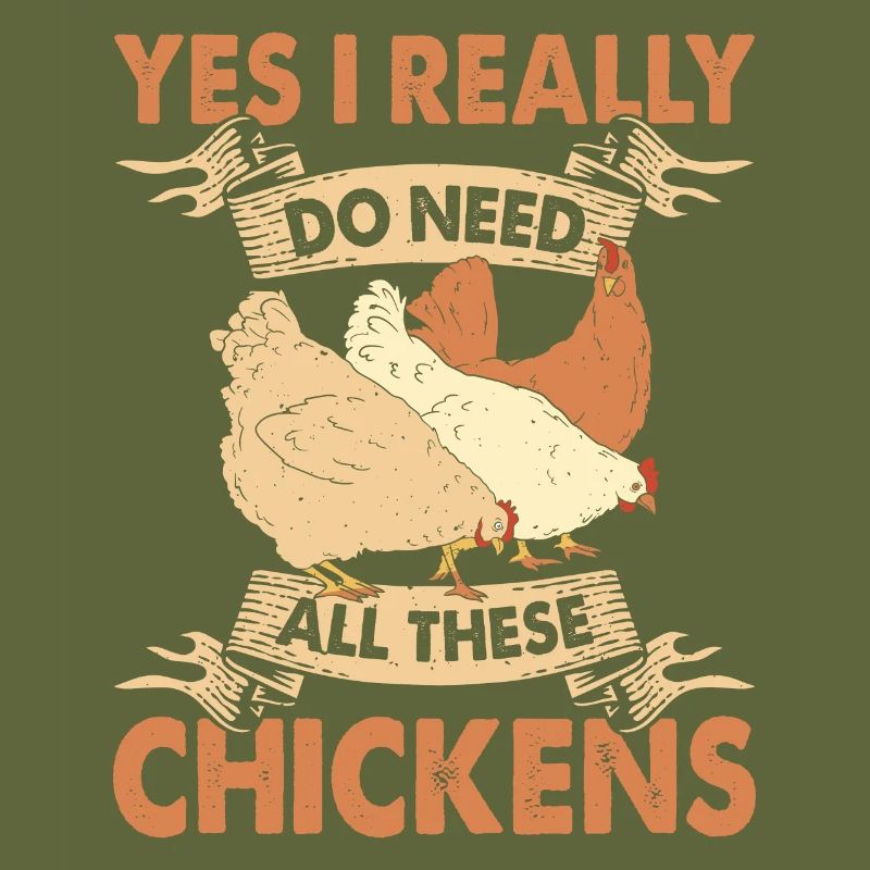 Poulets Élevage de poulets