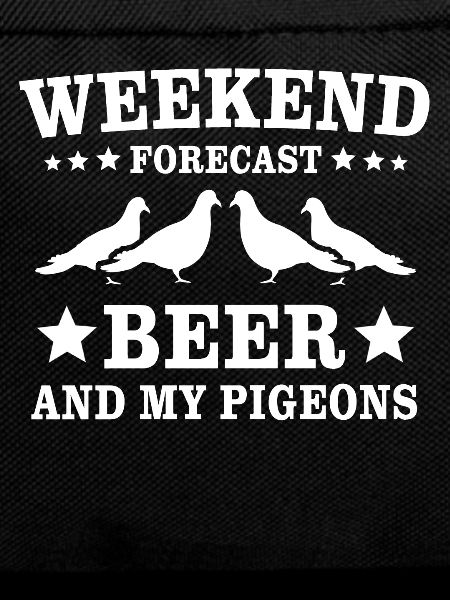 Pigeon fanciers pigeons