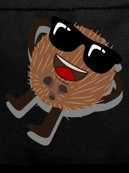Coconut Sunglasses Coconuts