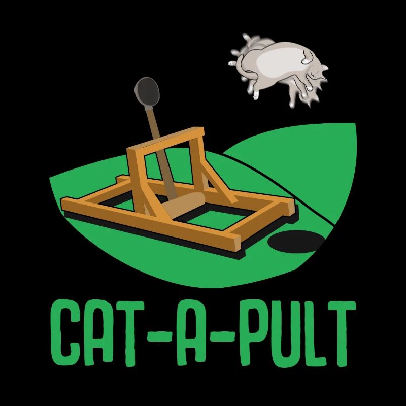 Drôle de chat