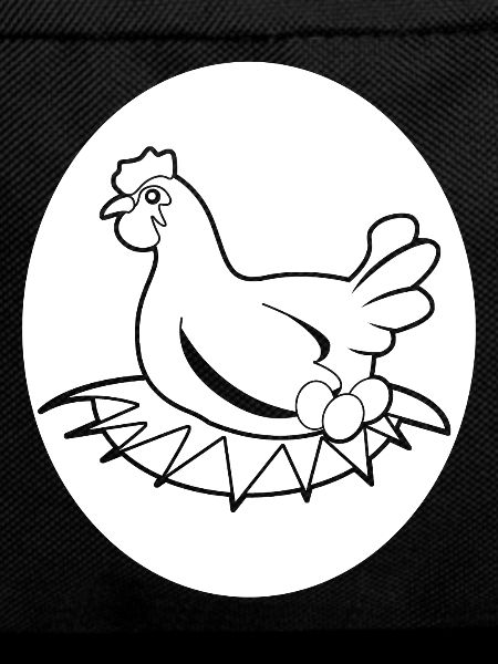 Eggs Chicken Egg