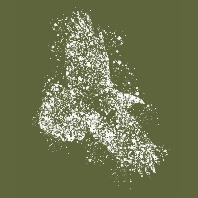 Raven Ravens Crows Crow