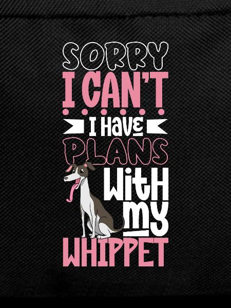 Plans with my Whippet