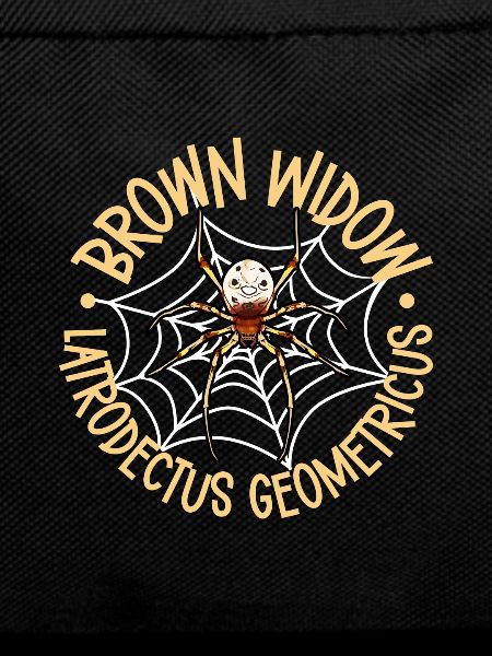 Grey widow