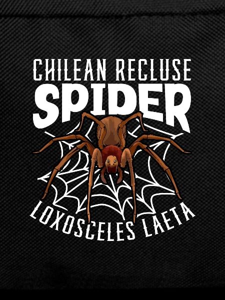 Chilean angle spider