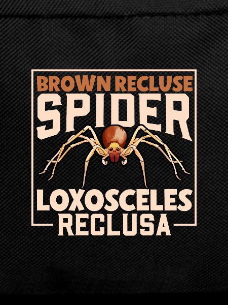 Brown Recluse Spider