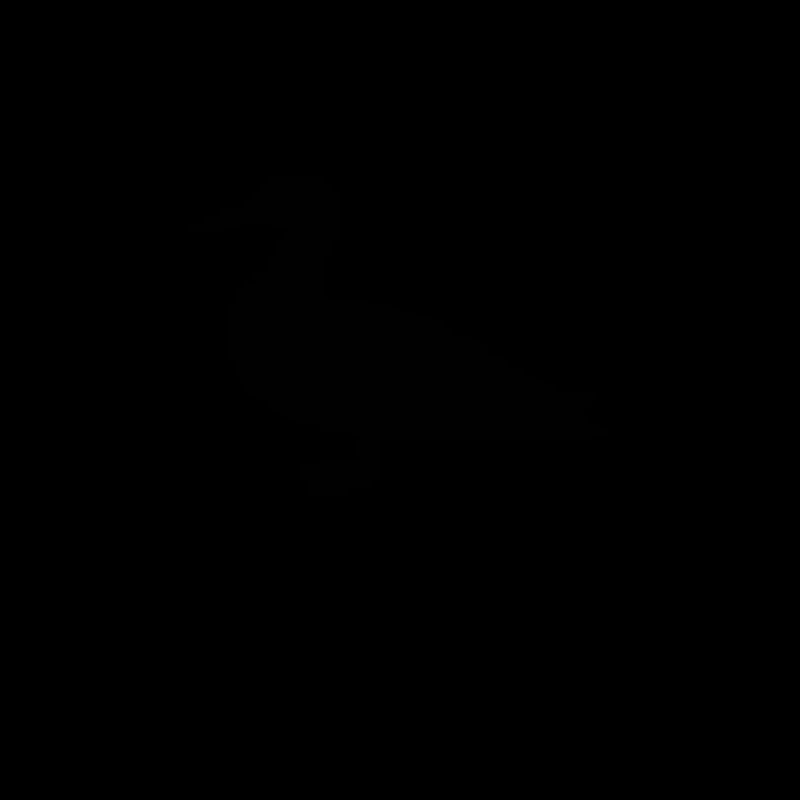 Chasseur De Bécasse