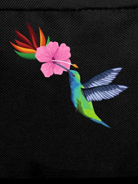 Hummingbird flower seed