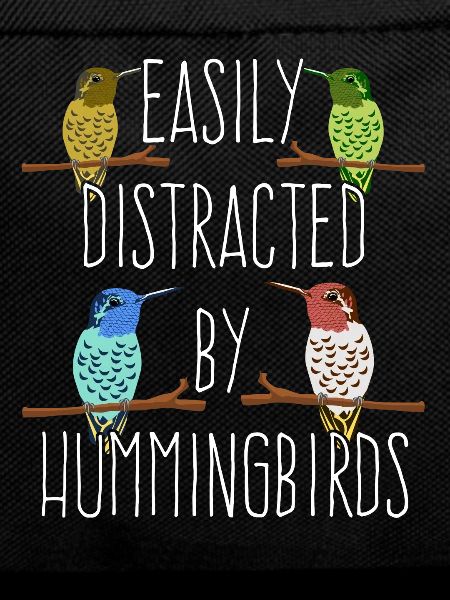 Hummingbird Hummingbirds