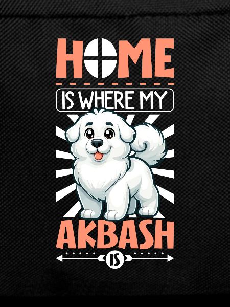 Home - Akbas