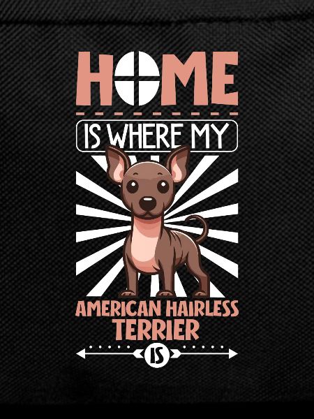 Home - American Hairless Terrier