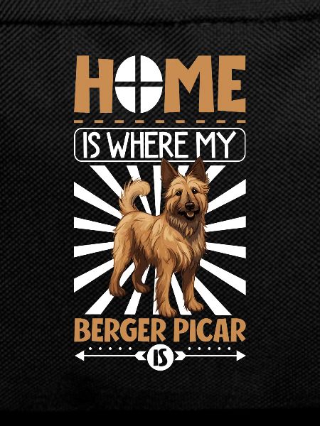 Home - Berger Picar