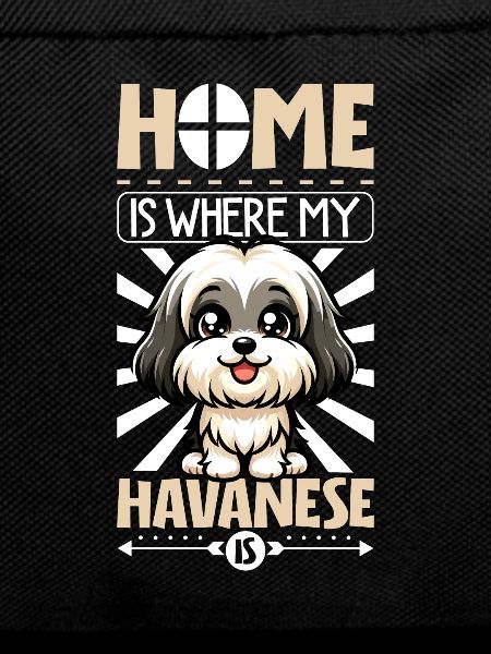 Home - Havanese